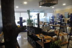 fluviave_11a